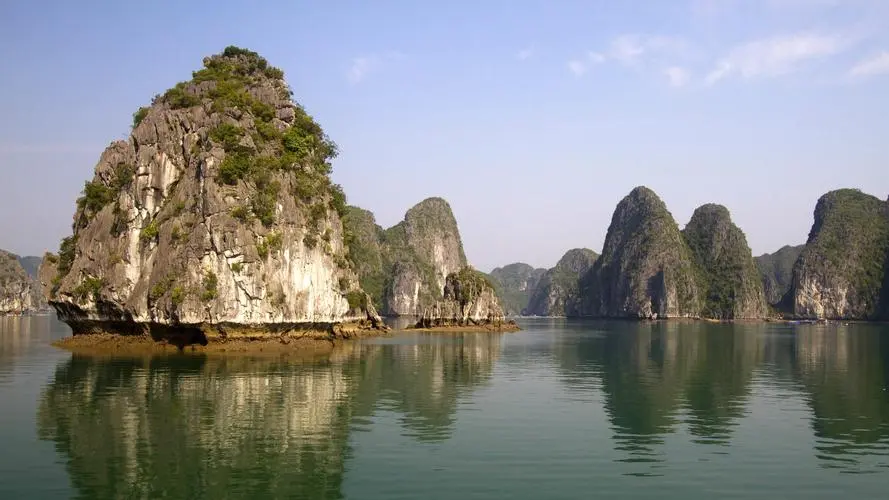 全自动高端